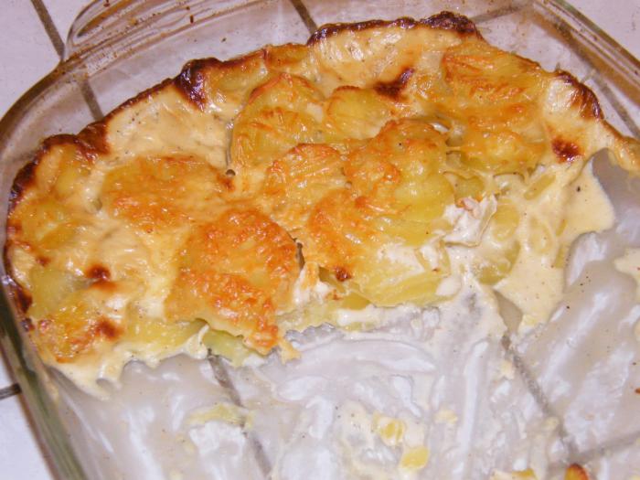 Gratin dauphinois avec le companion Gratin-dauphinois-avec-le-companion-